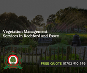 Vegetation Management Services in Rochford and Essex.