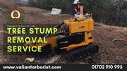Tree Stump Removal Services in Rochford and Essex